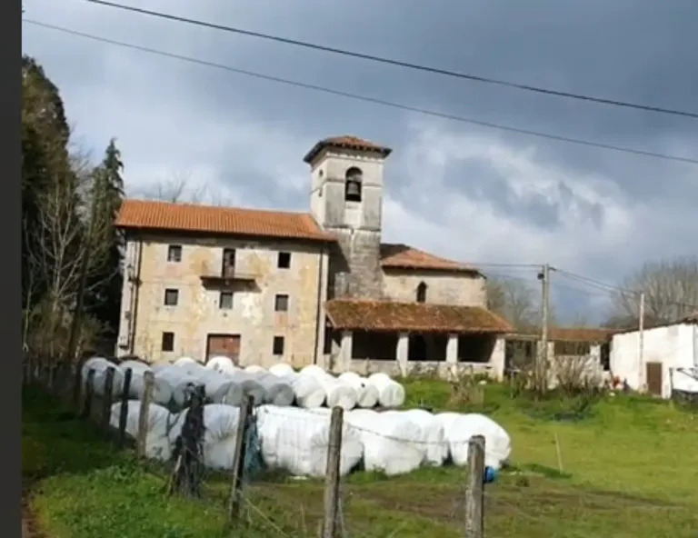 Cover image for Alli